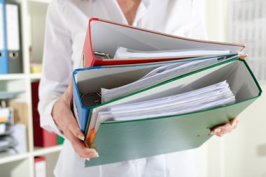 Działalność biegłych rewidentów
